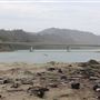 Ten Mile Estuary State Marine Conservation Area - Ten Mile River