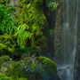 Shasta County Waterfalls