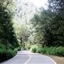 Shasta County Roads & Bridges
