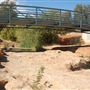 Shasta County Natural Landscapes & Parks