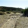 Arroyo Grande @ S.O.S.