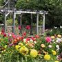 Mendocino Coast Botanical Gardens