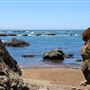 Noyo Headlands Park