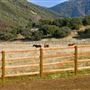Rancho Grande