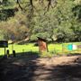 Faulkner County Park