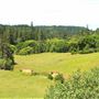 Peachland Road