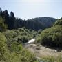 Navarro River - located in Hendy Woods State Park (SP)