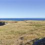 Noyo Headlands Park
