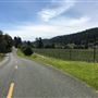 Anderson Valley Way