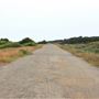 Haul Road Coastal Trail (MacKerricher State Park)