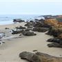 Haul Road Coastal Trail (MacKerricher State Park)
