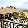 Azari Vineyards & Winery