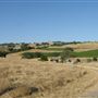 Crane Creek Regional Park