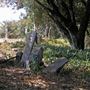 Cypress Hill Memorial Park