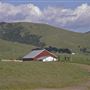J G Angus Ranch