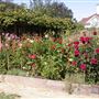 Luther Burbank Home & Gardens