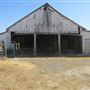 Maffia Dairy Ranch