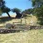 Nicholson Ranch