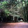 Pomo Canyon (Sonoma Coast State Park)