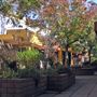 Sonoma