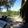 Wolf Run Vineyards