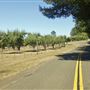 Greenwood Road