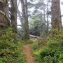 Little River Blowhole Trail