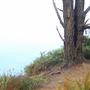 Little River Blowhole Trail