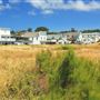 Mendocino Headlands State Park (SP)