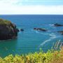 Mendocino Headlands State Park (SP)