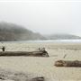 Big River Beach @ Menodocino Headlands State Park  (SP)