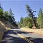 Mountain View Road