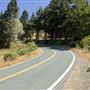Mountain View Road