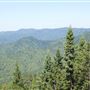 Highway 20 - Fort Bragg-Willits Rd.
