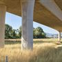 Jesse D Pittman S01 Navy SEAL Memorial Bridge