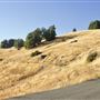Orr Springs Road