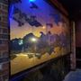 CHO CHO SAN JAPANESE RESTAURANT