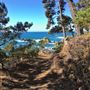 Smidgemore Property - Private Beach Cove & Bluffs with Vacant Cottages