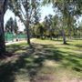 Arcadia Community Park
