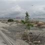 Port of Los Angeles - POLA / West Harbor / AltaSea Research Campus / Wilmington Waterfront Promenade