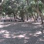 Placerita Canyon State Park (SP) / Placerita Canyon Natural Area / Placerita Nature Center