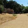 Placerita Canyon State Park (SP) / Placerita Canyon Natural Area / Placerita Nature Center