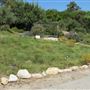 South Coast Botanic Garden