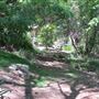 South Coast Botanic Garden