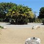South Coast Botanic Garden