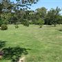 South Coast Botanic Garden