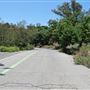 South Coast Botanic Garden