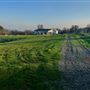 Luna Lavender Farms