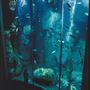 Aquarium of the Pacific & Parking Structure - Long Beach