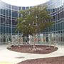 Los Angeles City College - LACC